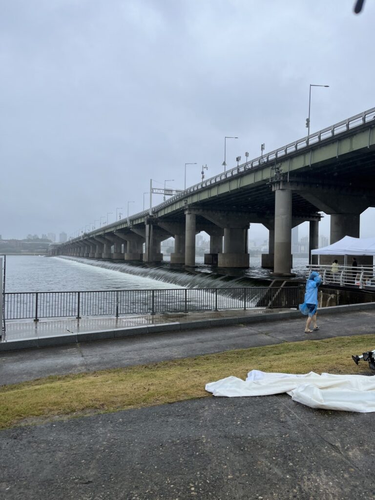 Hangang Cross Swimming 2026 Cancellation | Free Han River Swim?